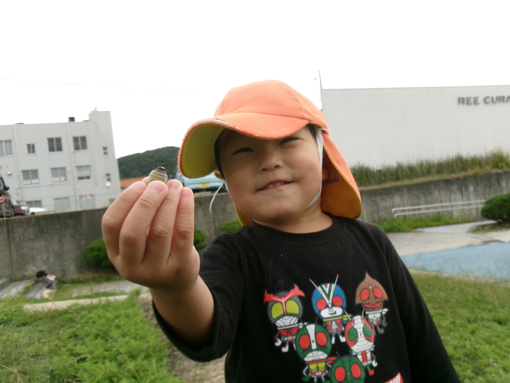 木の実拾い