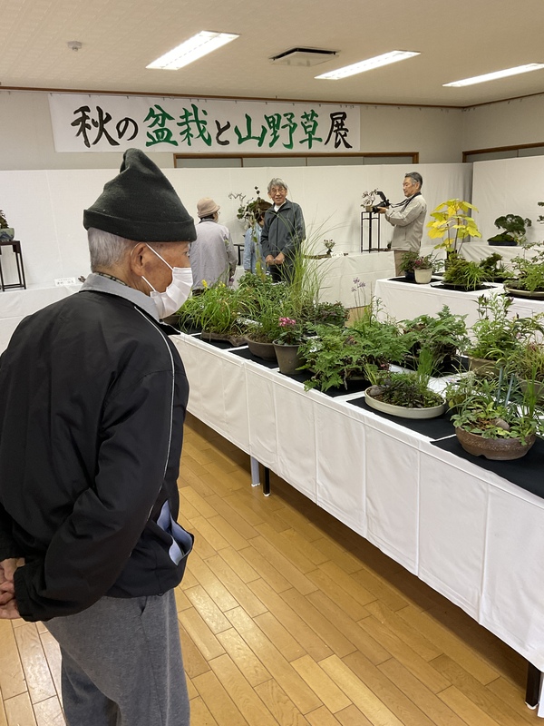 観覧中の様子です