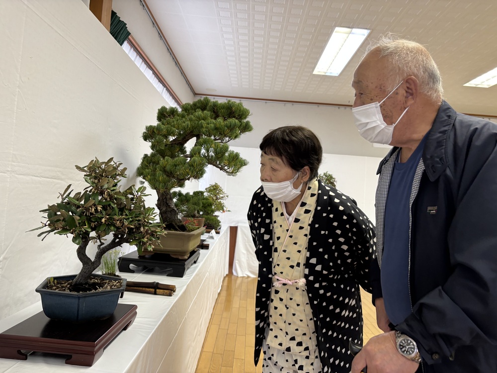 山野草