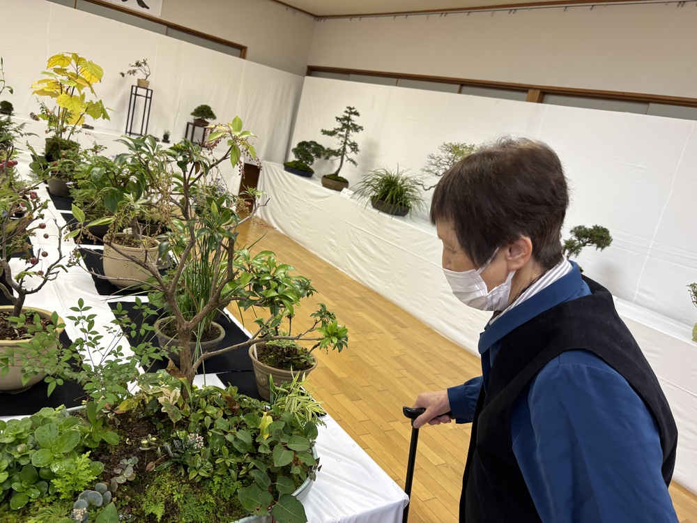 山野草