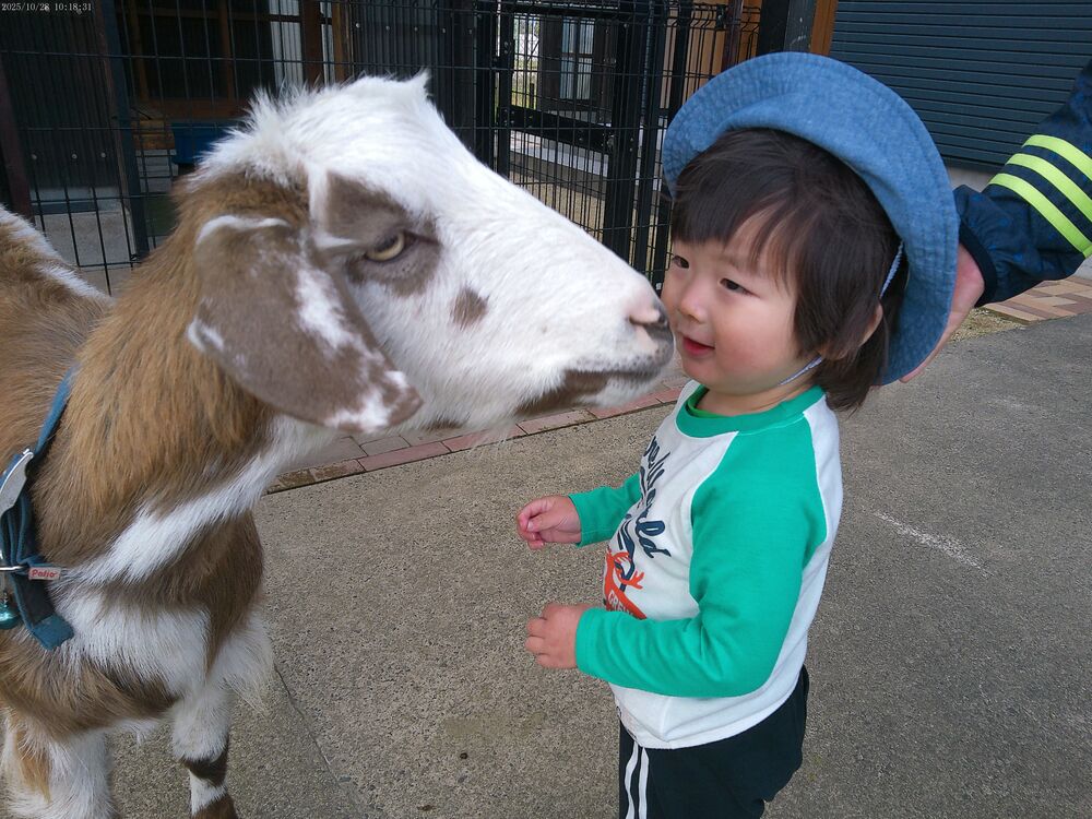 やぎのメイ太くん (1)