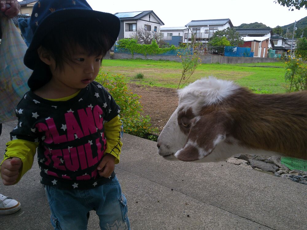 やぎのメイ太くん (2)