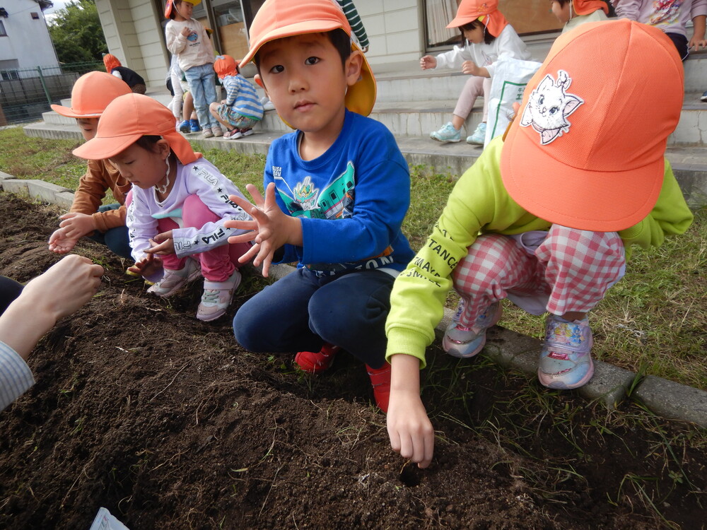 種を埋める様子