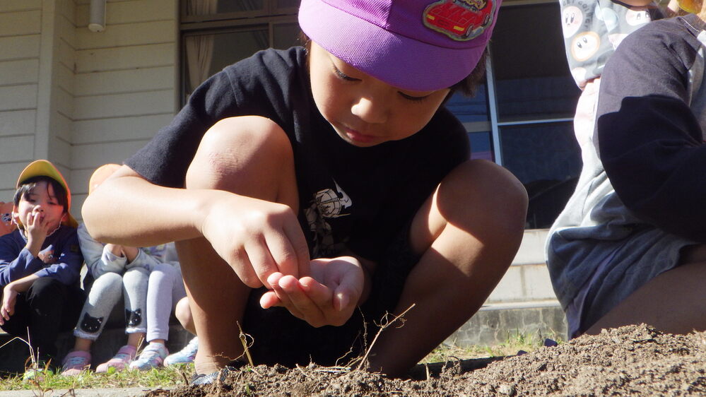 種まきの様子２