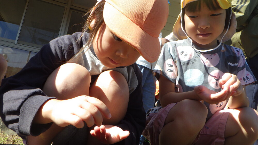 種まきの様子３