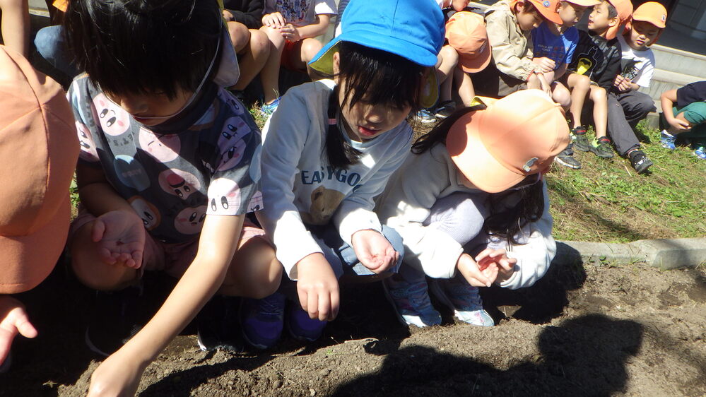 種まきの様子４