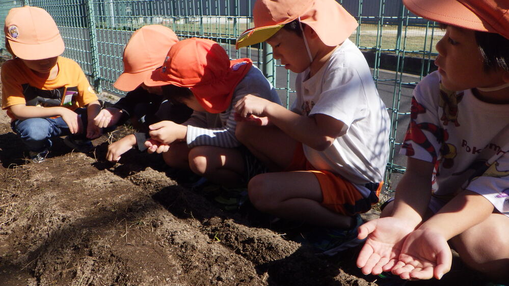 種まきの様子６