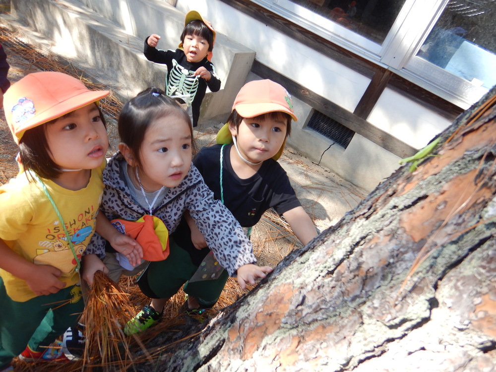 カマキリを見つける子ども