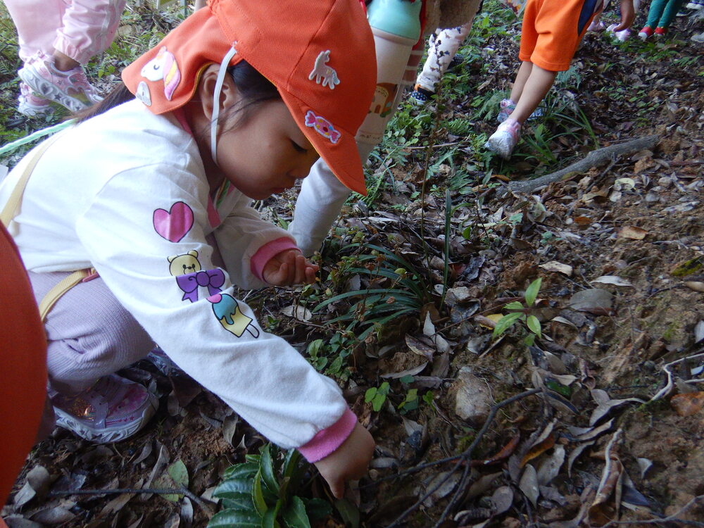 ドングリを探す子ども (2)