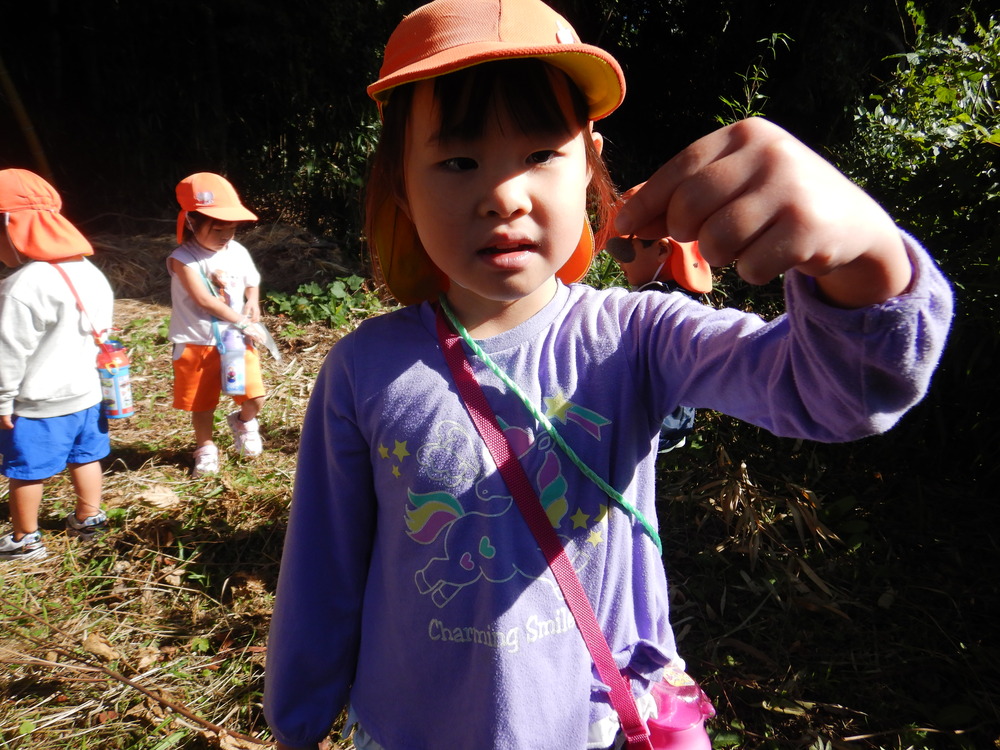 ドングリを探す子ども (5)