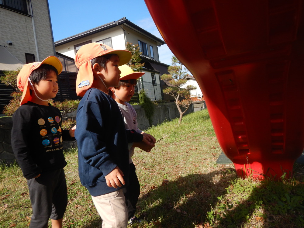 蜘蛛を観察する様子