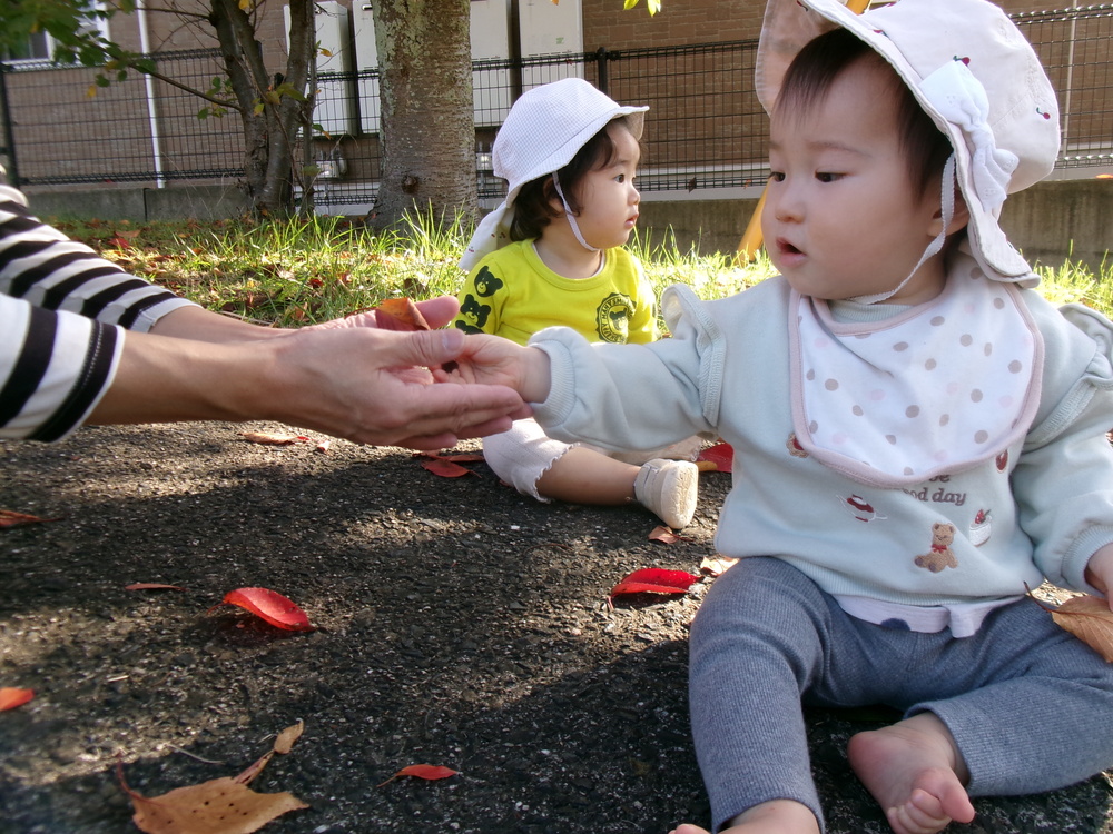 葉っぱを渡している