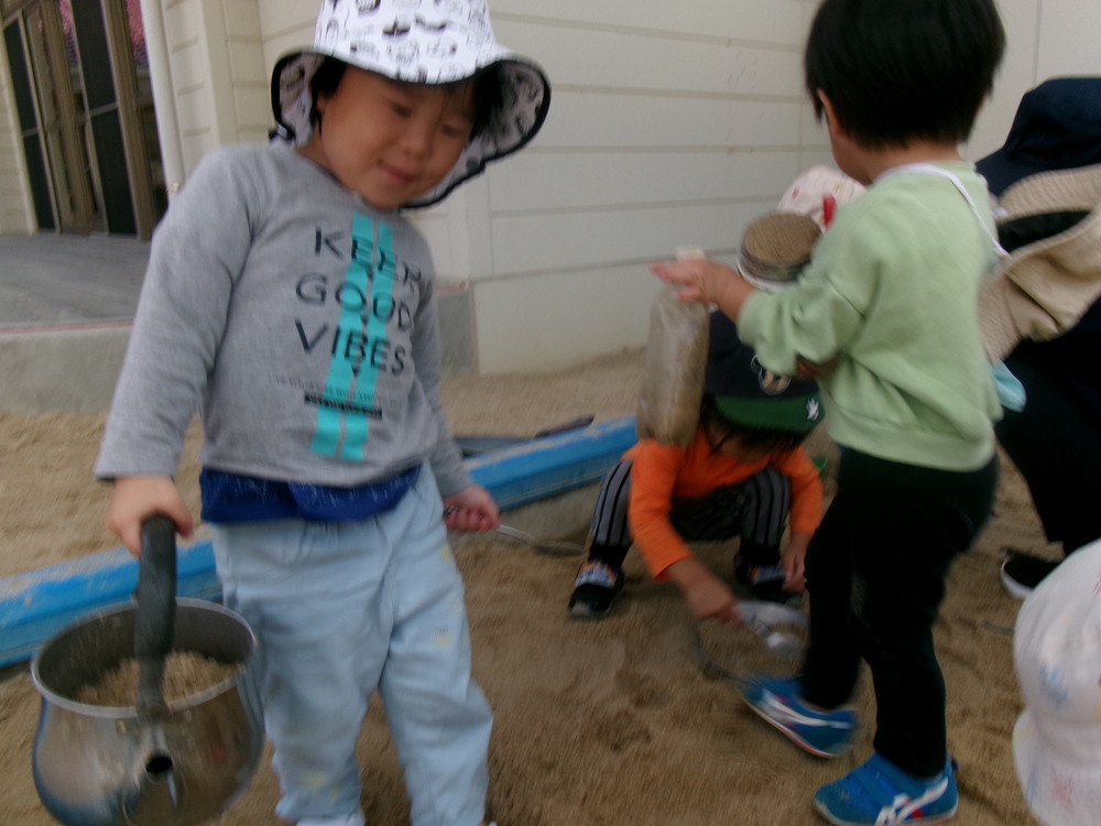 園庭遊びの様子