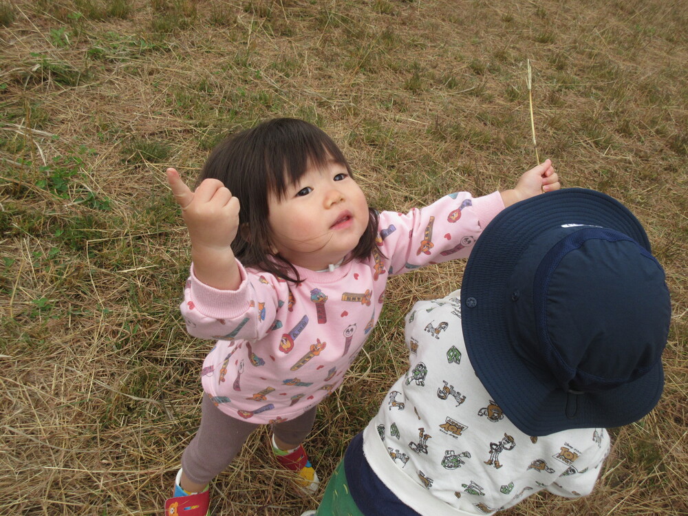 鳥を見つけている
