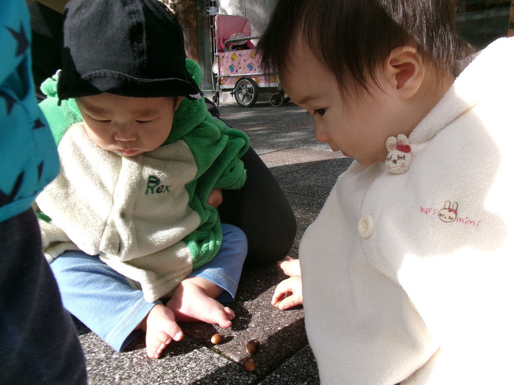 どんぐりを拾っている