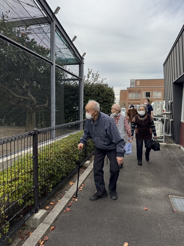 朱鷺がいるかな