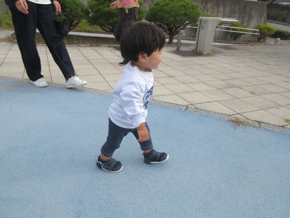 お散歩に行こう♪の様子