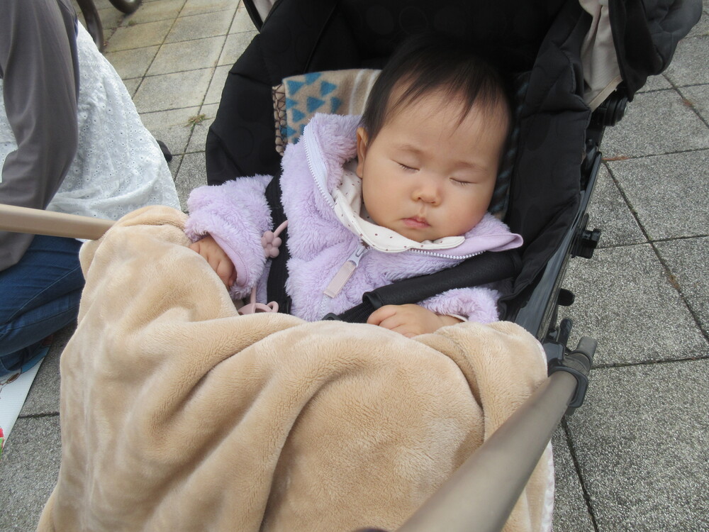 お散歩に行こう♪の様子