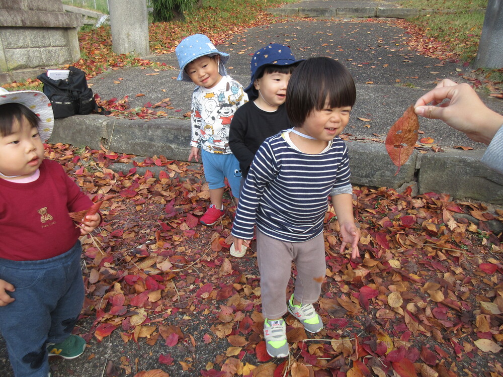 落ち葉で遊んでいる