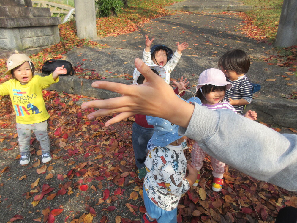 落ち葉で遊んでいる