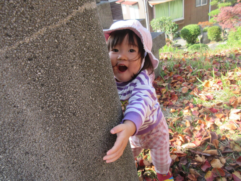 落ち葉で遊んでいる
