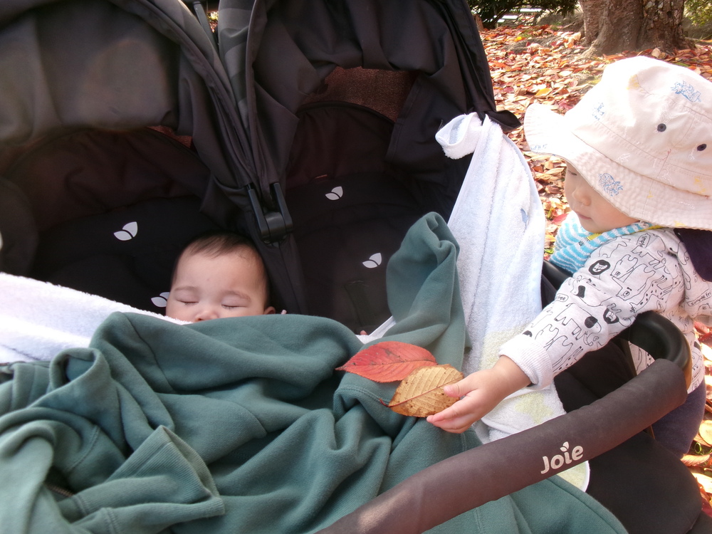 おさんぽの様子 (2)