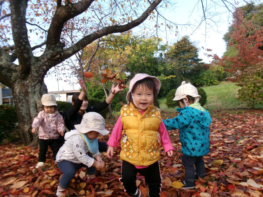 おさんぽの様子 (3)