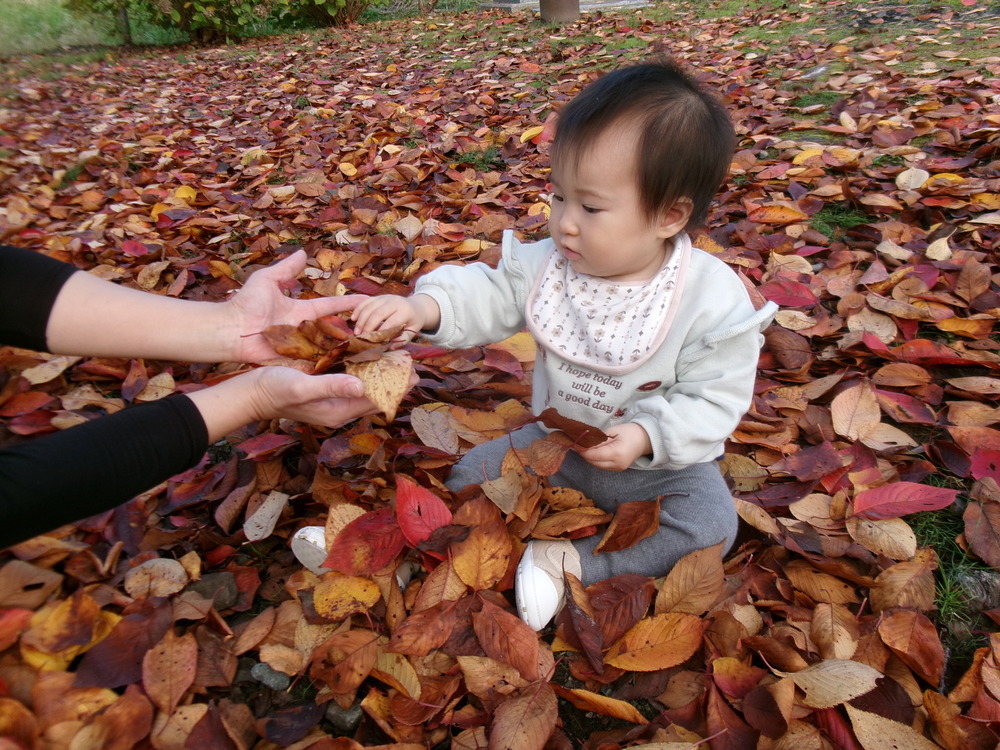 おさんぽの様子 (4)
