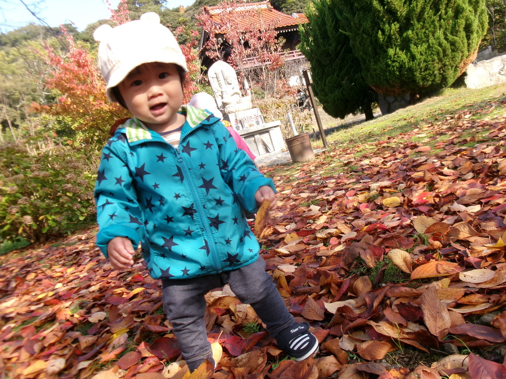 おさんぽの様子 (5)