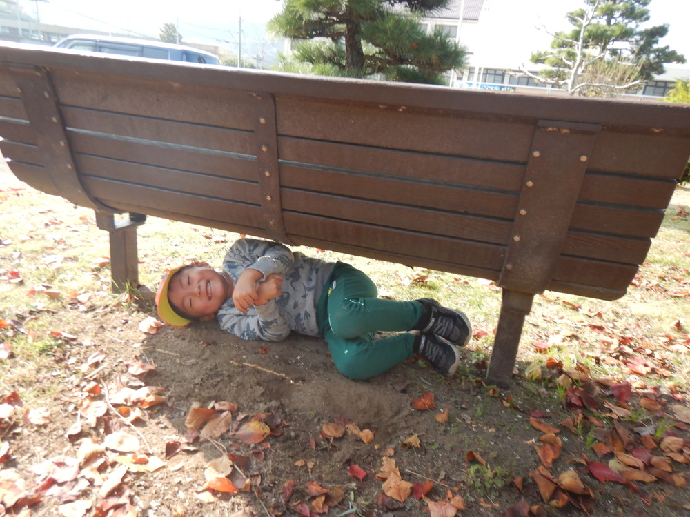 ベンチに隠れている様子