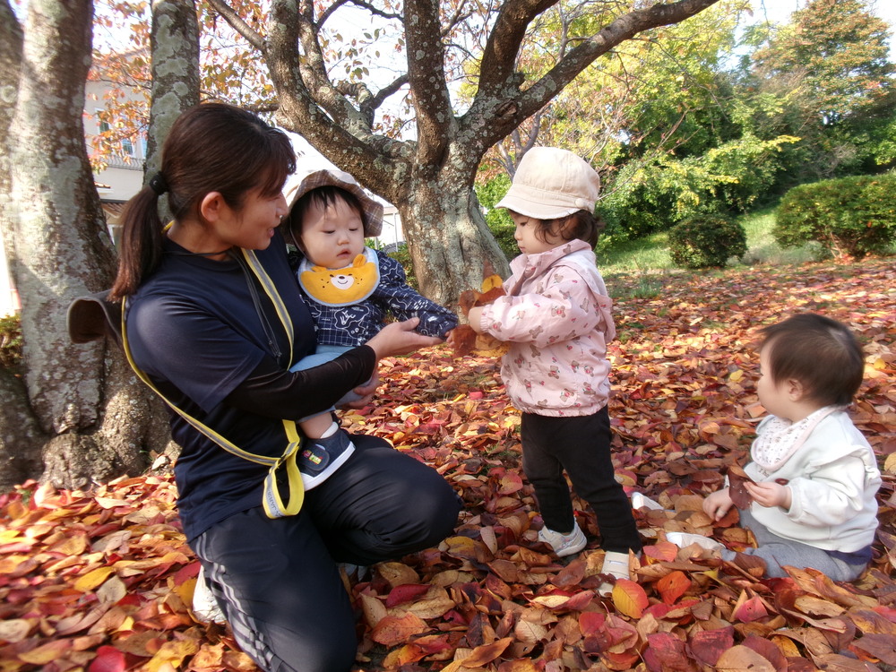 おさんぽの様子