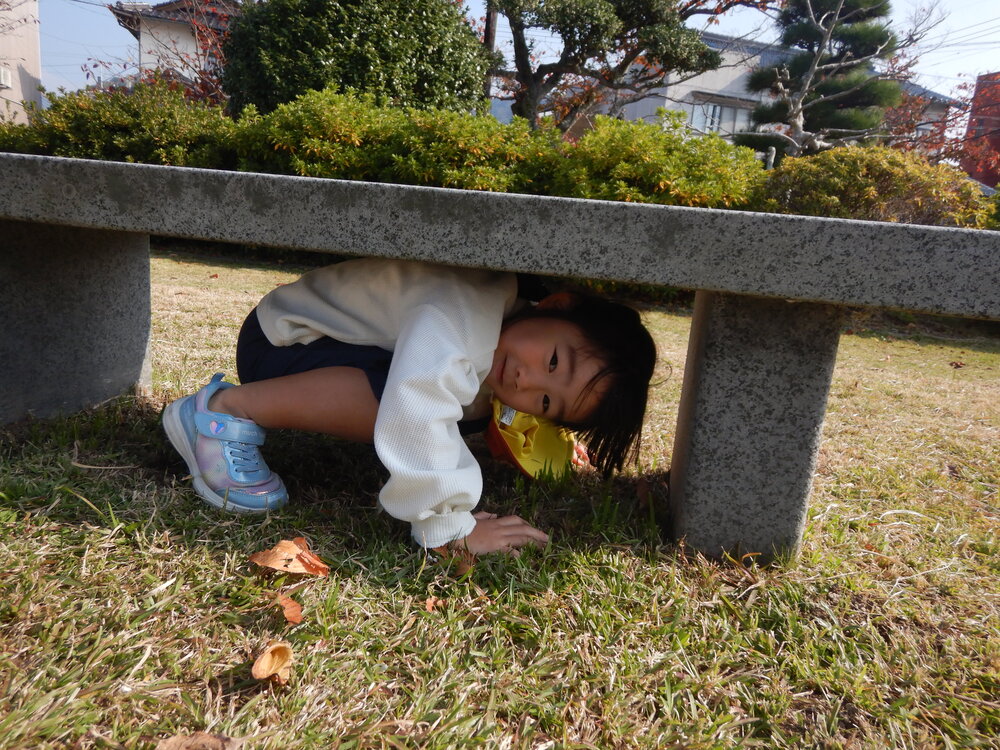ベンチに隠れている様子