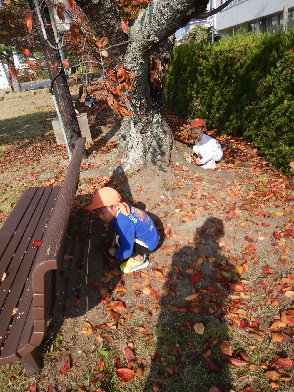 隠れている様子