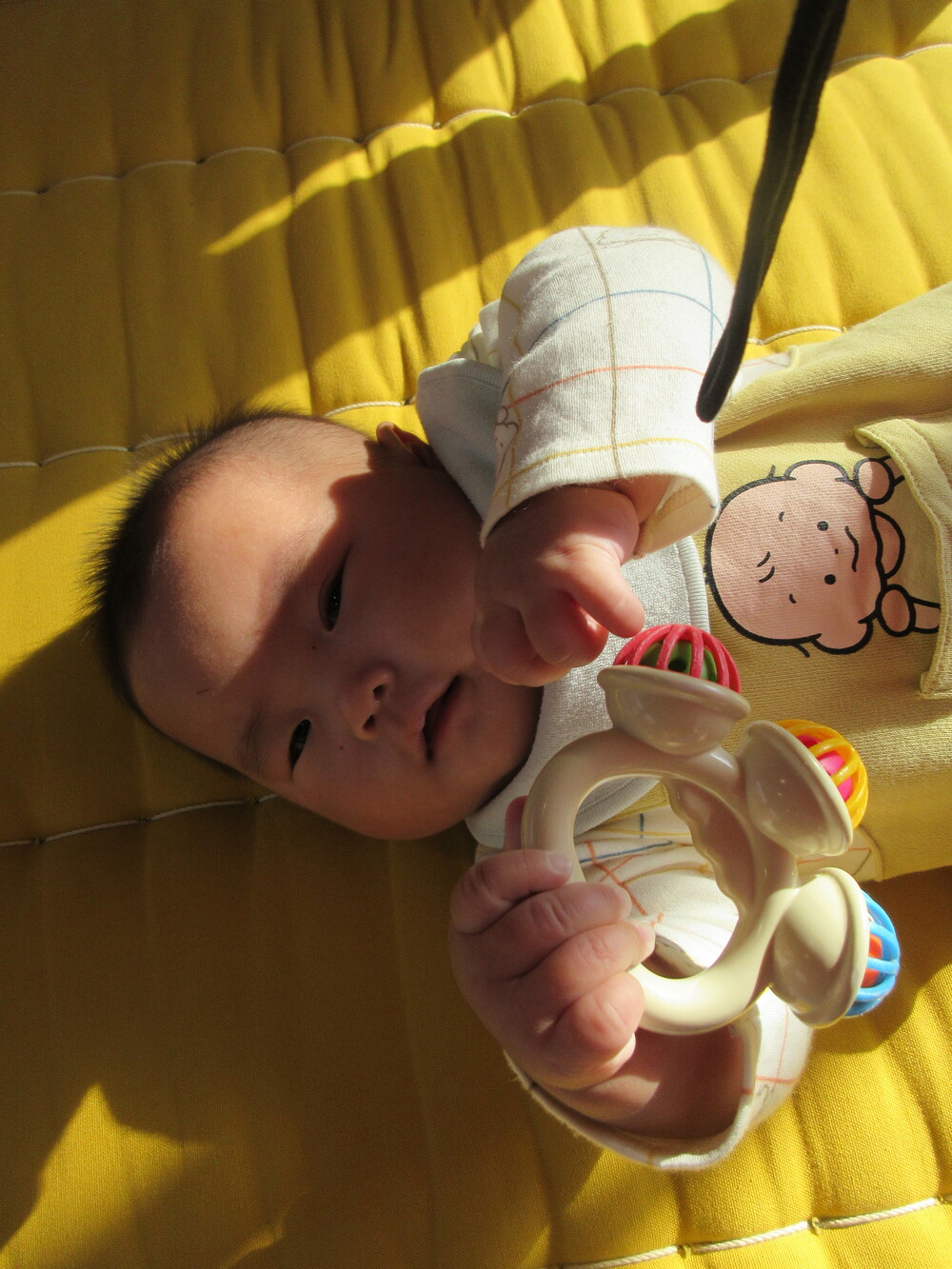 遊んでいる様子