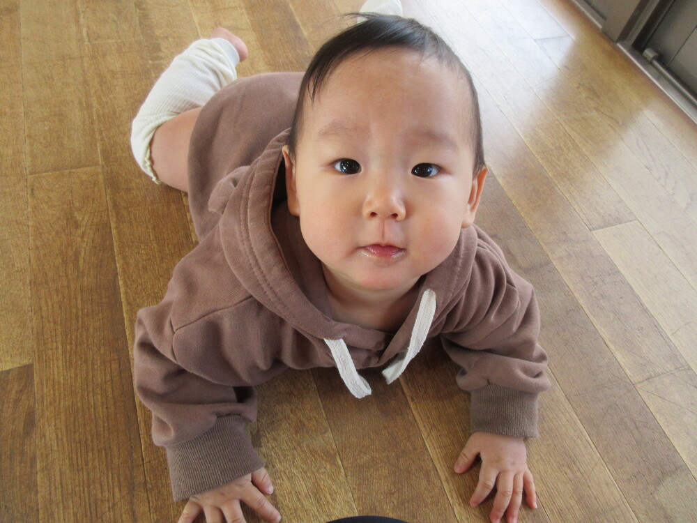 遊んでいる様子