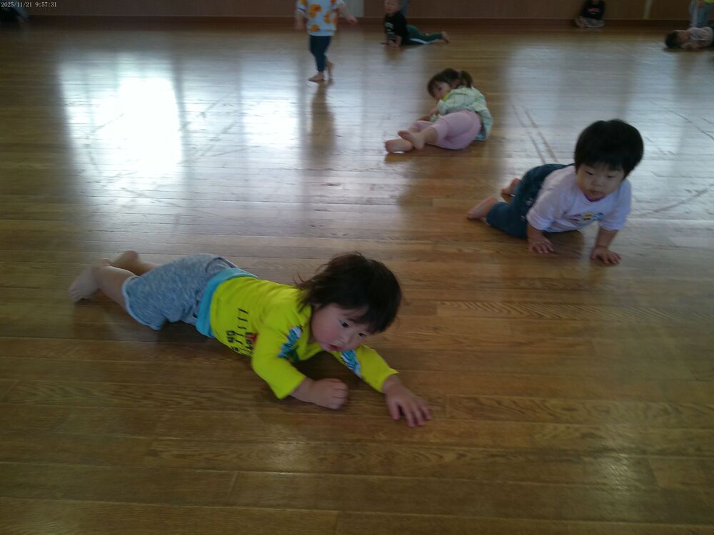 りんごとうさぎ (3)