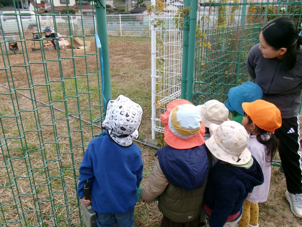 園庭遊びの様子