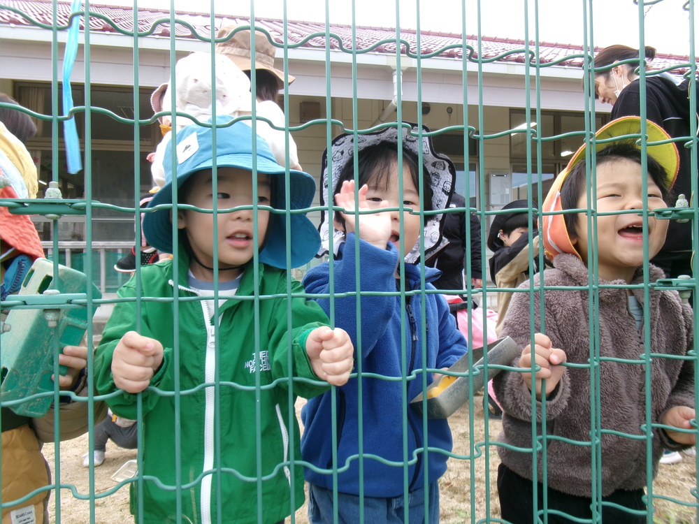 園庭遊びの様子