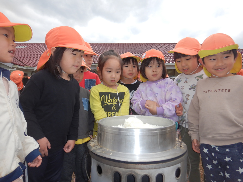 ご飯を近くで見ている様子