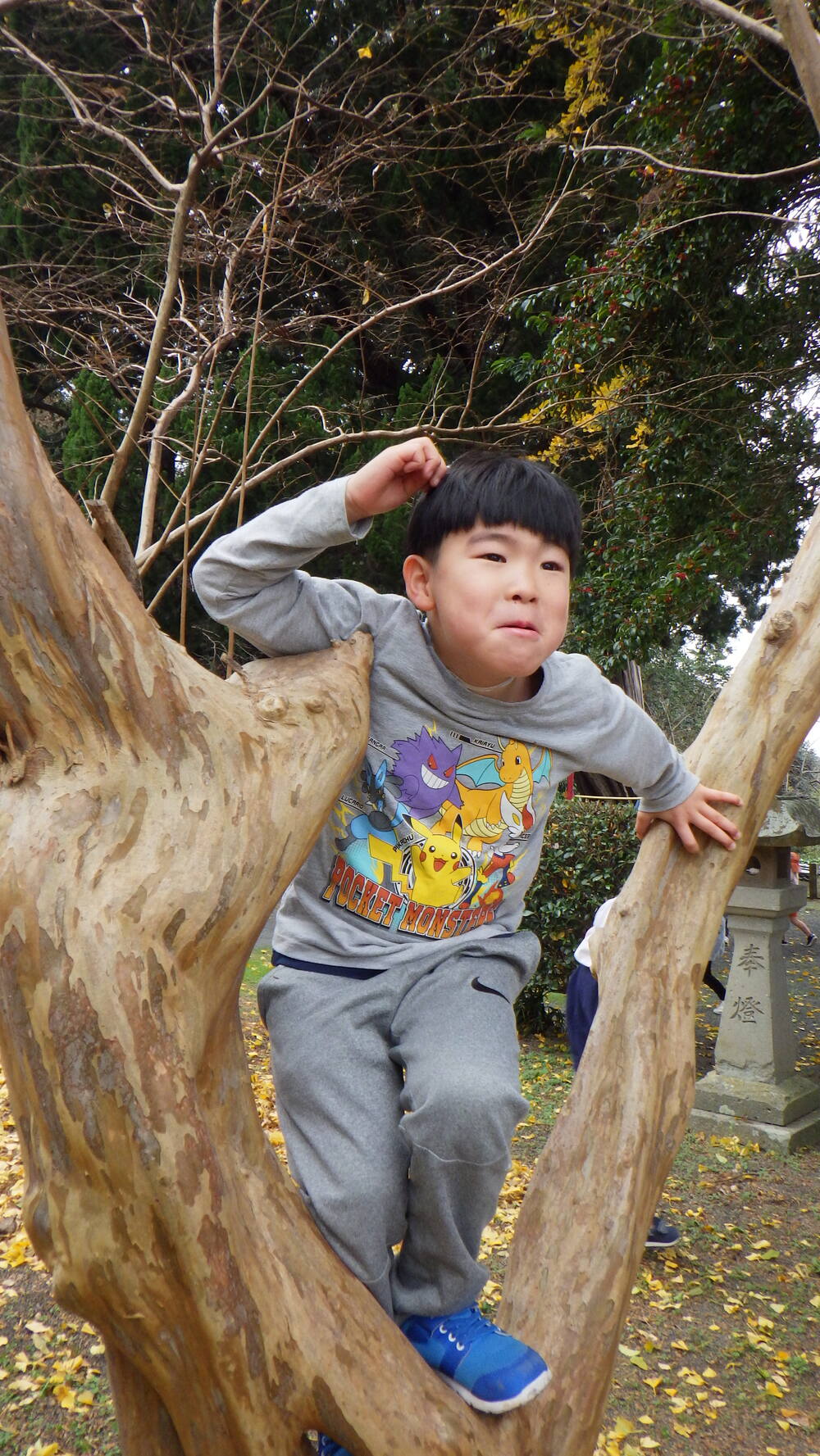 木登りをする子ども