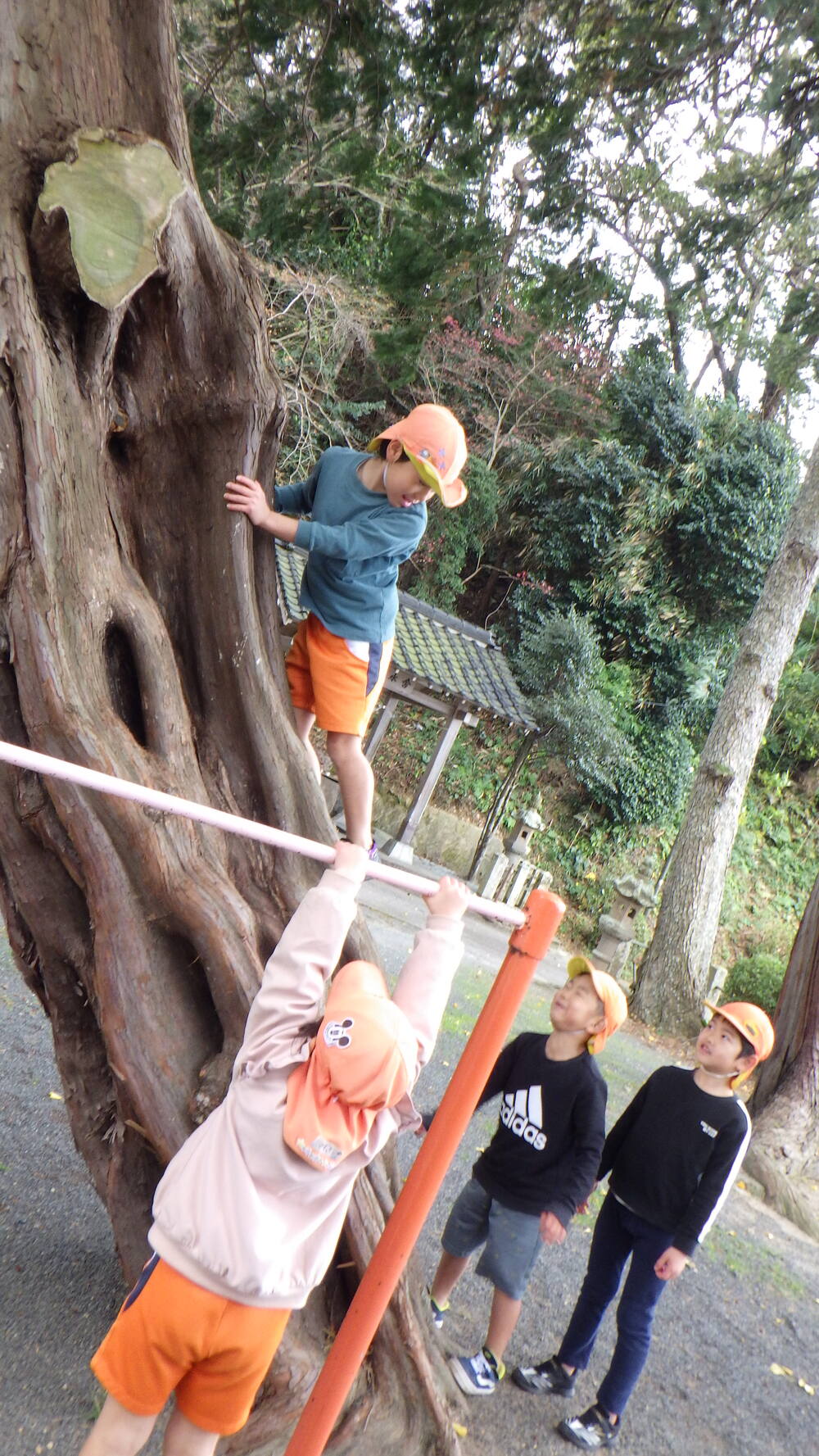 木登りをする子ども２