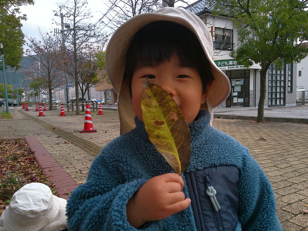 風の子りんご組 (2)