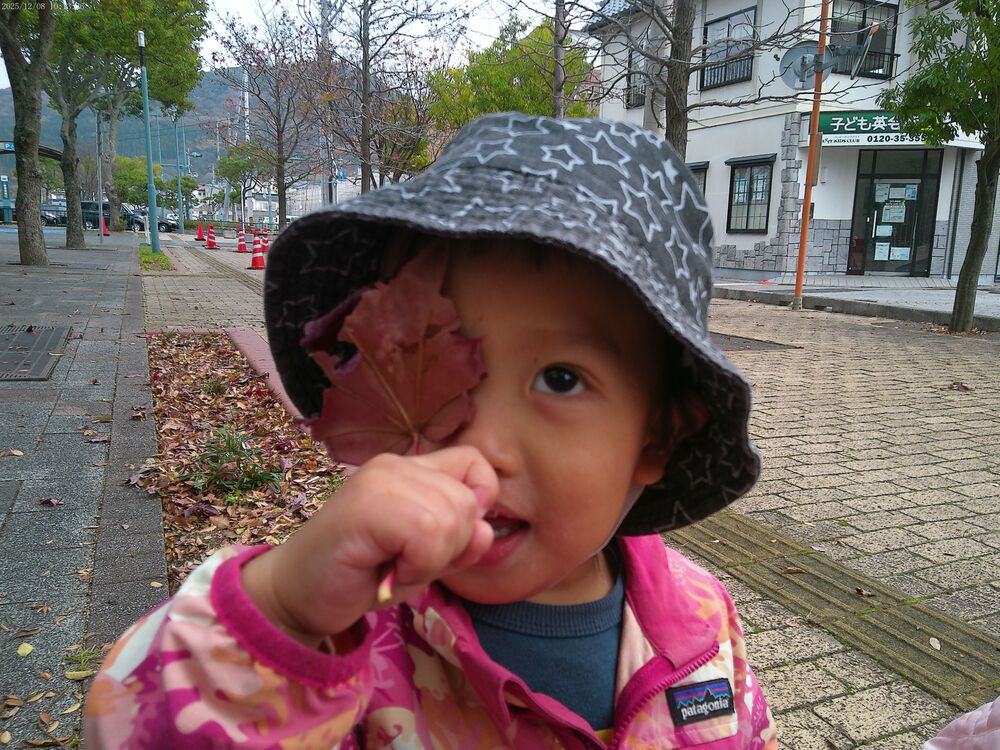 風の子りんご組 (3)