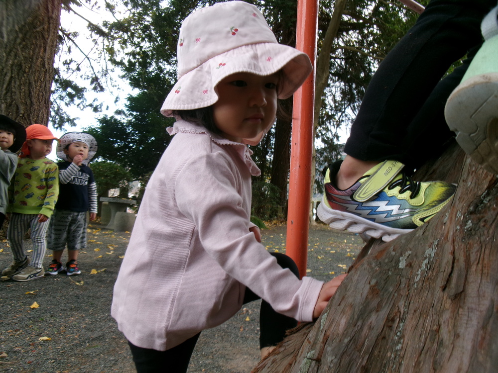 木登りをしようとする様子