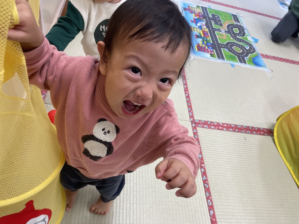 ボールツリー (6)