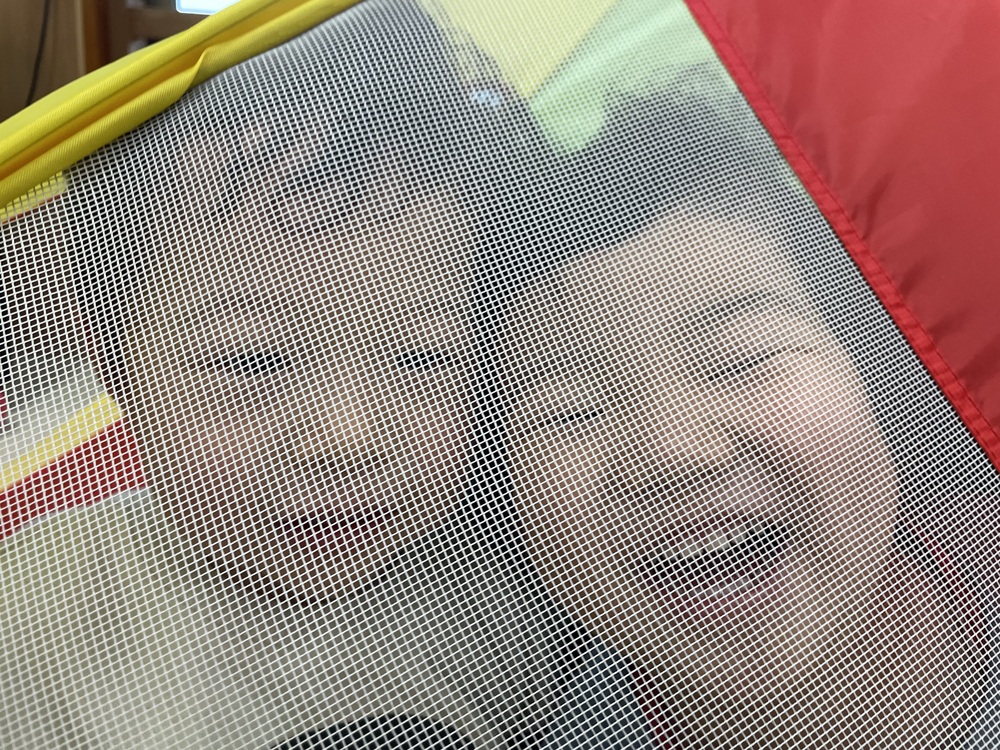 ボールツリー (4)