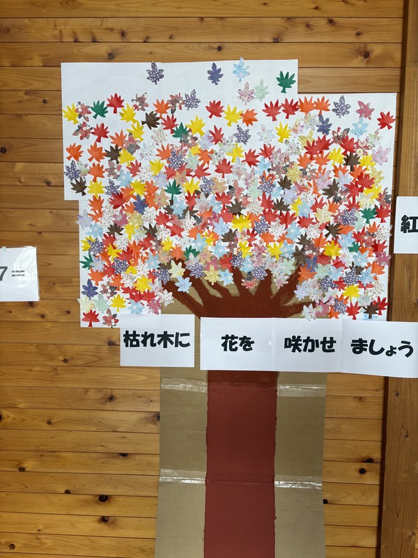 先月の紅葉の様子