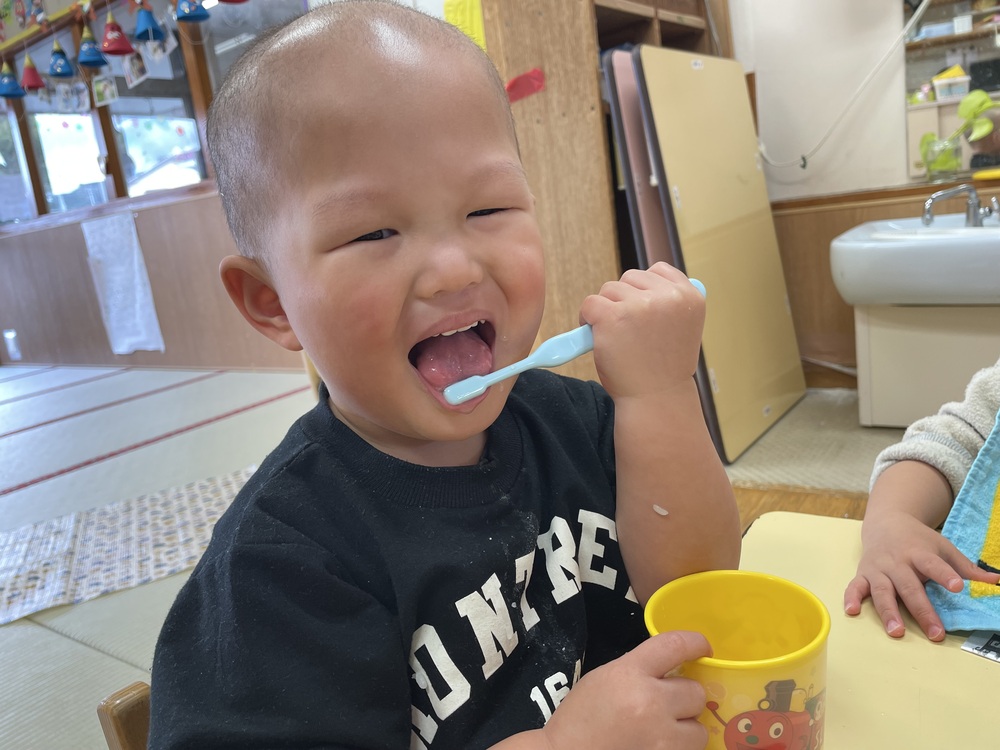 チョコレート (1)