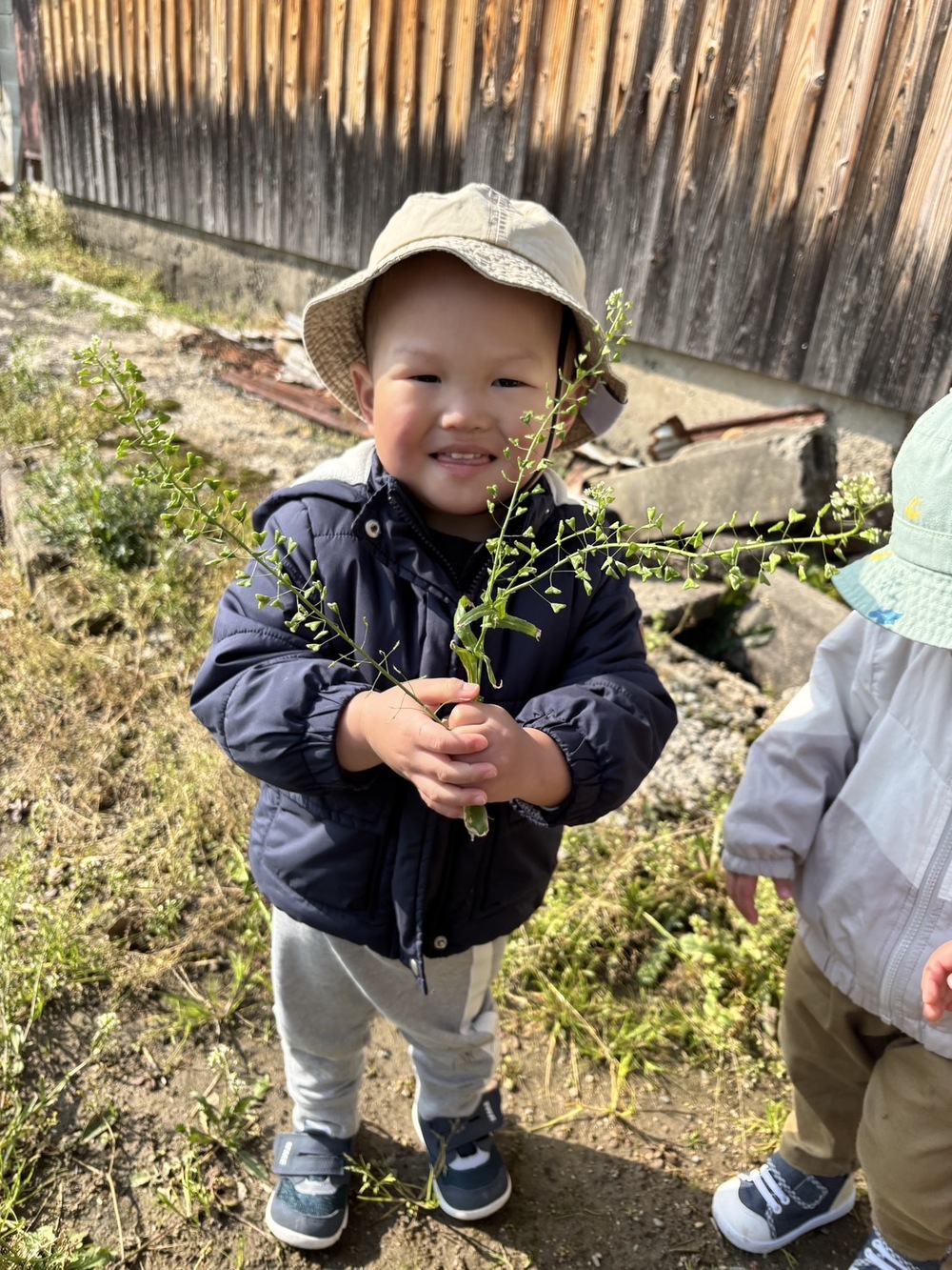 りんご探検隊 (3)