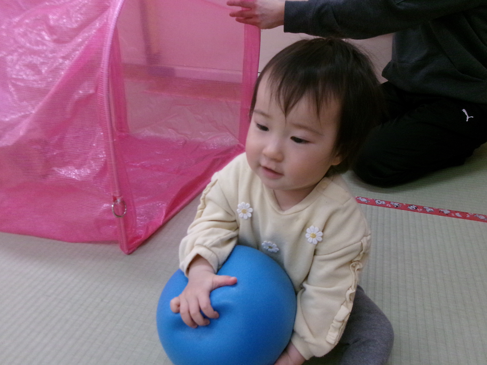 ボールであそんだ様子1